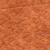 Autumn Leaf - Interior Panel Kit - 12 Piece - Mini 1275GT RHD 75-80