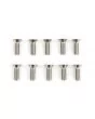 Classic Mini Door Hinge to Door Screw Kit