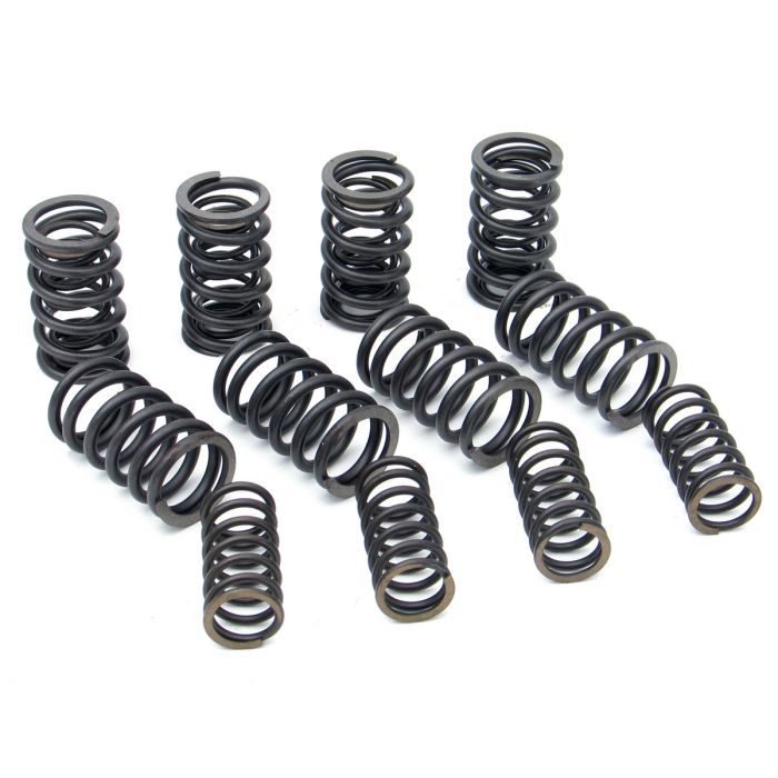 Double Valve Spring Set - 200lb 